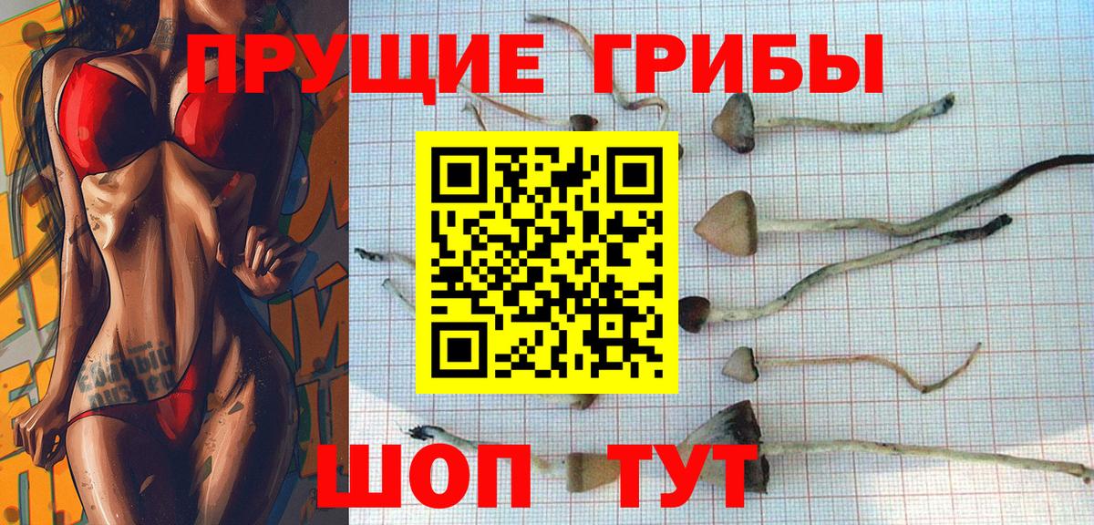 Ростов-на-Дону  Галлюциногенные грибы Psilocybe  Вход с VPN  Псилоцибиновые грибы мицелий 