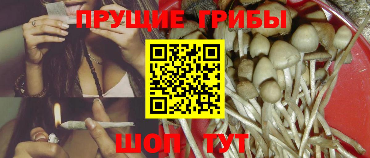 Псилоцибиновые грибы Psilocybine cubensis Ростов-на-Дону